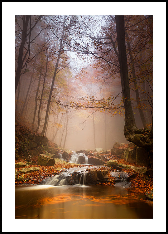 Niebla mistyc Póster