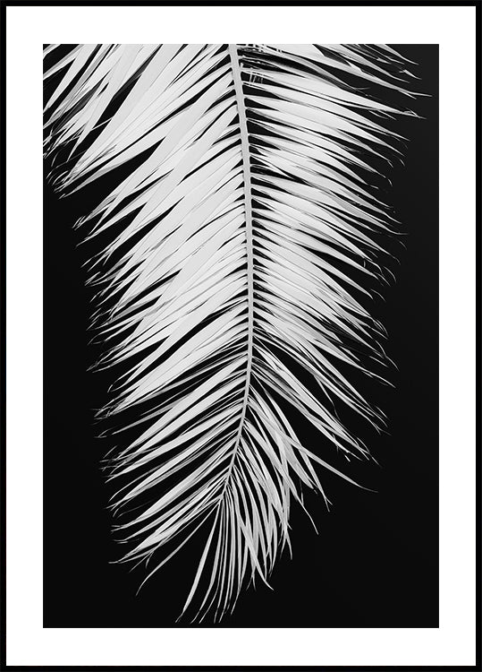 Hoja de palma No.4 Póster