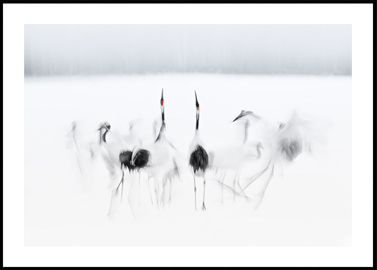 Ballet caligráfico Póster