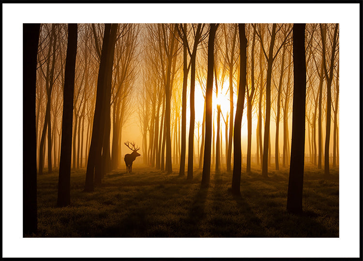 Érase una vez Póster