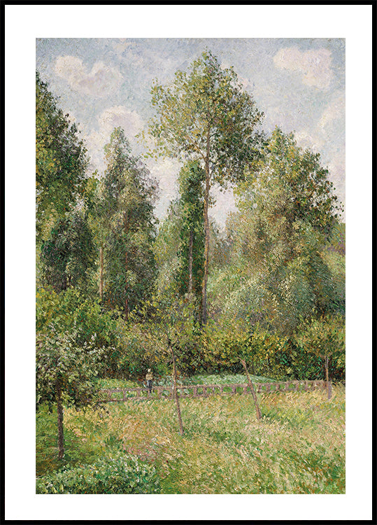 Póster Álamos de Éragny de Camille Pissarro 