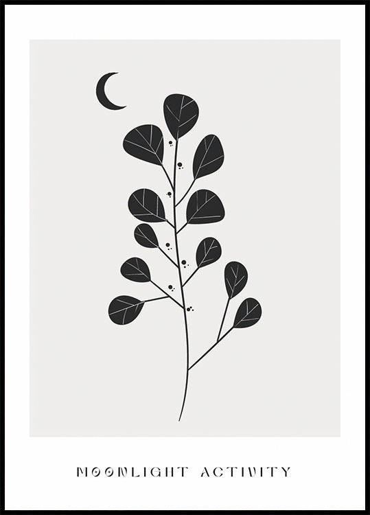 Moonlight Activity No. 3 Plakat - Posterbox.dk