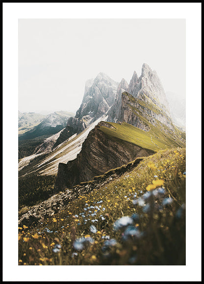 Póster de flores y picos alpinos 