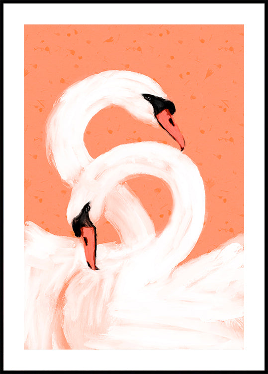 Cisnes agraciados