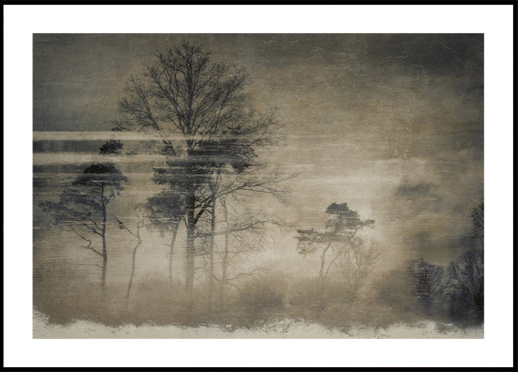 Postal antigua Póster