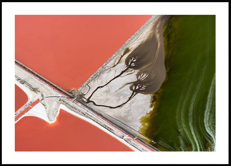 pintura de la naturaleza