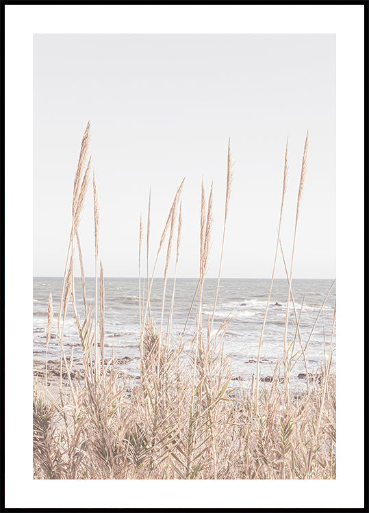 Playa_Vass_001 Póster