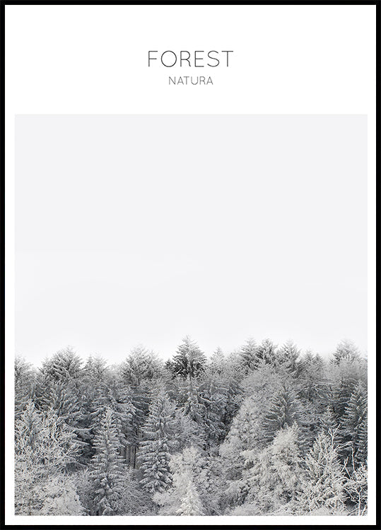 Tranquilidad helada (NUEVO)