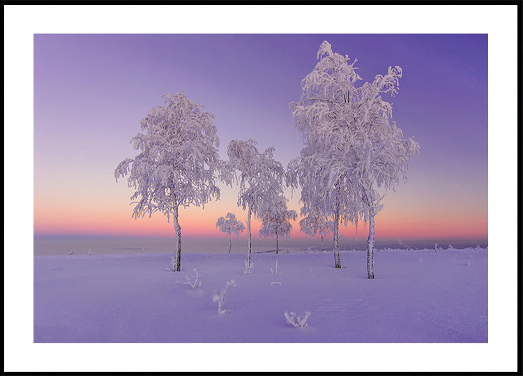 January evening Plakat