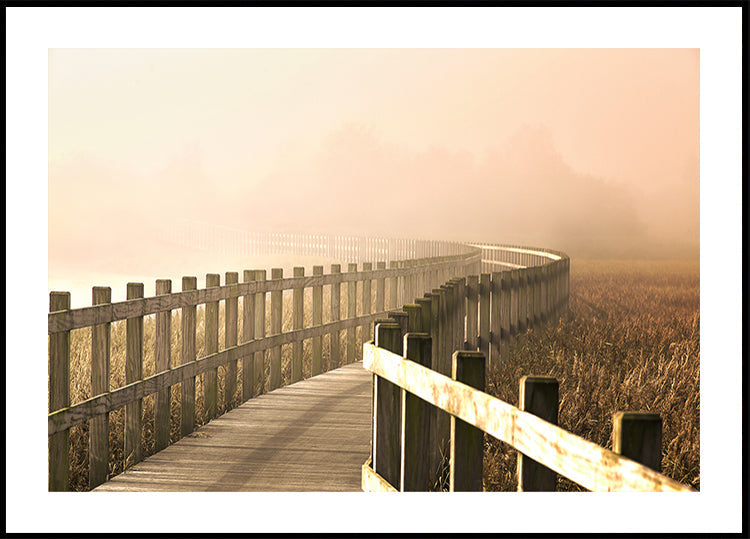 El Camino se vuelve más brillante.