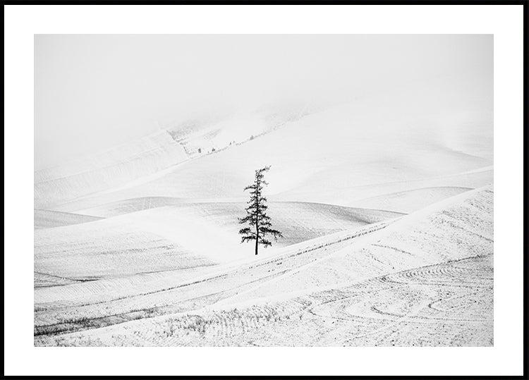 Paying respect Plakat