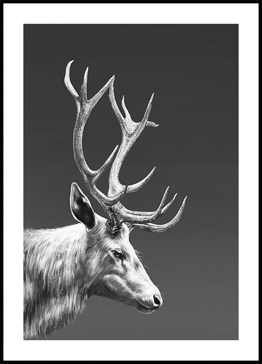 Reno Póster