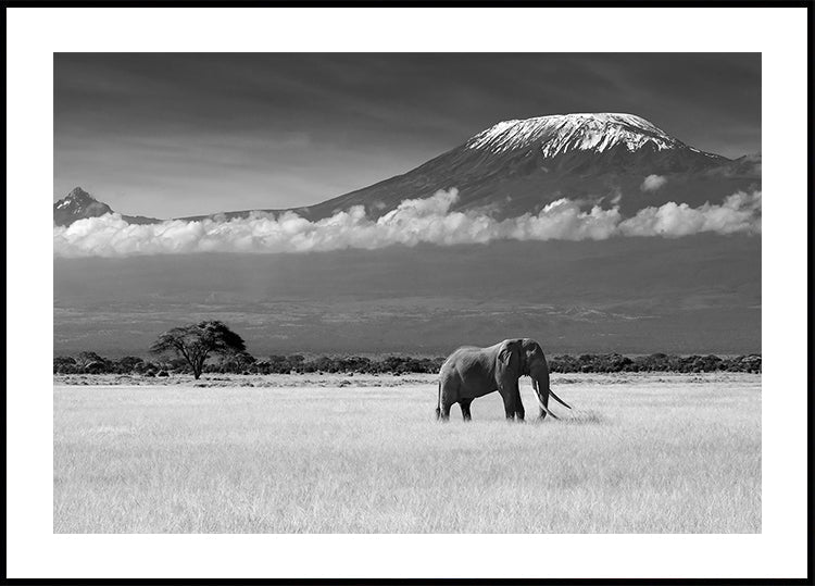 Colores perdidos II Póster