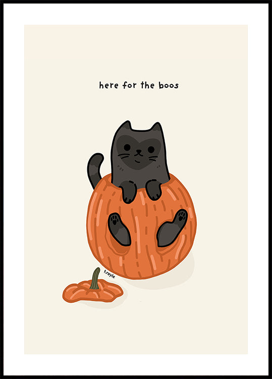 Gato negro sentado juguetonamente en una calabaza
