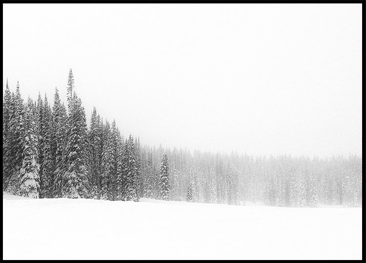 Bosque para los árboles Póster