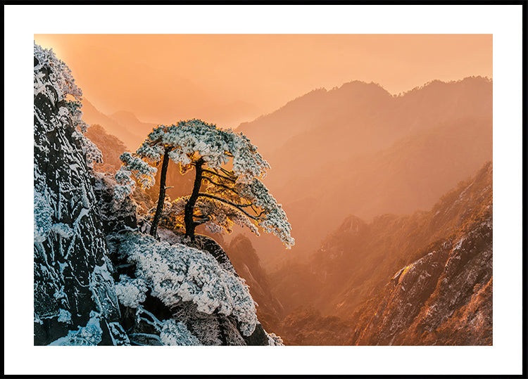 Resiliencia al límite Póster