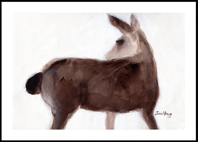 Ciervos en Creekside Lane Póster