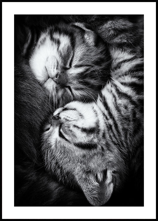 Yin y Yang