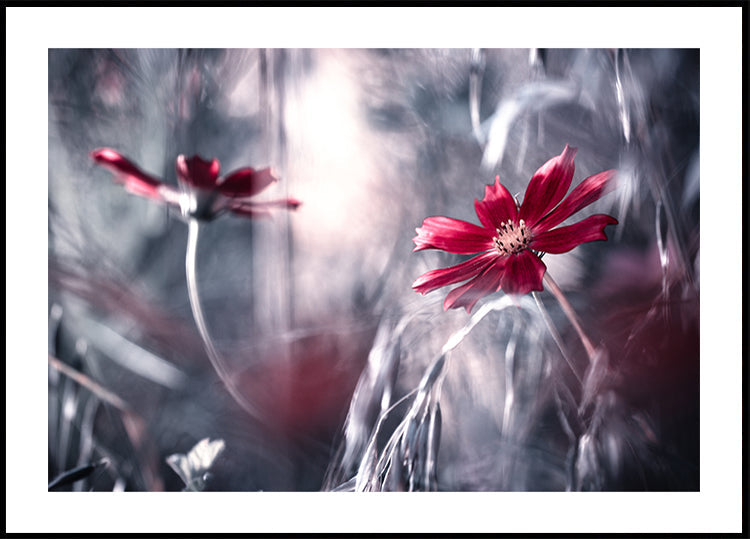 Juegos de seducción