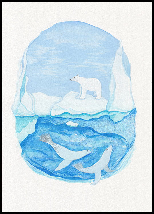 Vida ártica - Mares helados - Oso polar y focas (NUEVO)