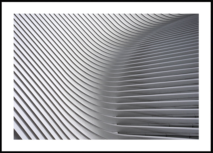 Curvas de Calatrava # 2 Póster