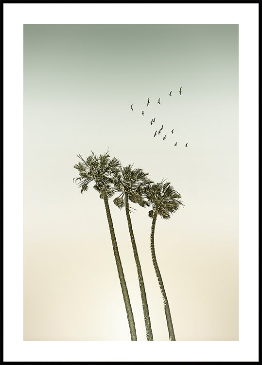 Palmeras minimalistas vintage y puesta de sol Póster