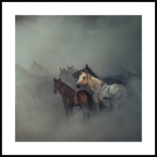 Los caballos perdidos Póster