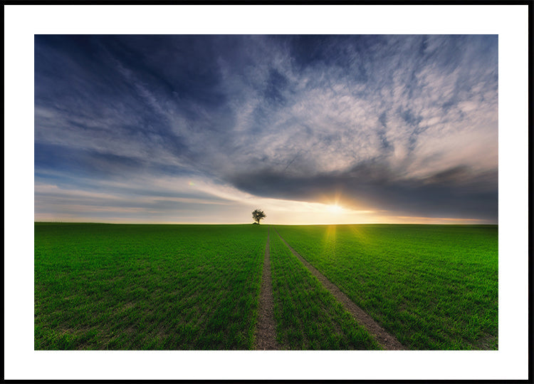 solitario bajo el sol