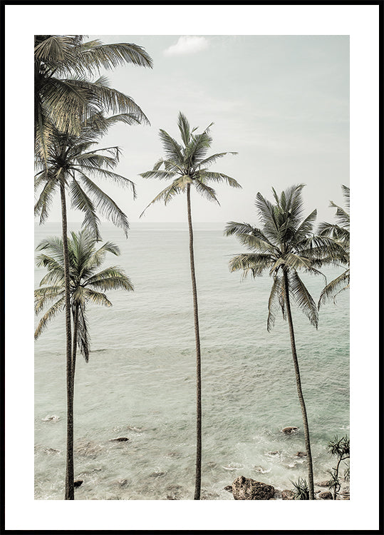Sueños tropicales Póster