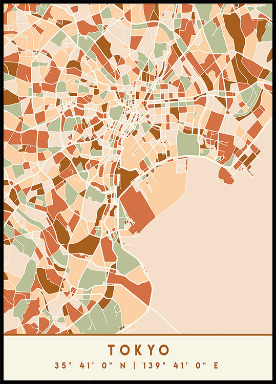 Mapas negros Tonos tierra 88 Póster