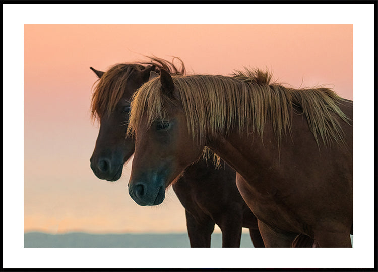 Mirando hacia adelante Póster