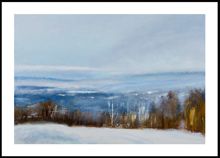Póster Vista de invierno