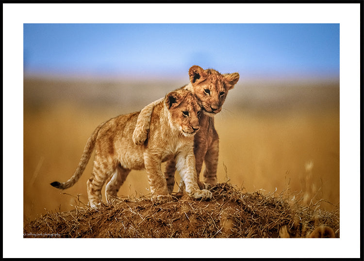 Hermanos de por vida Póster