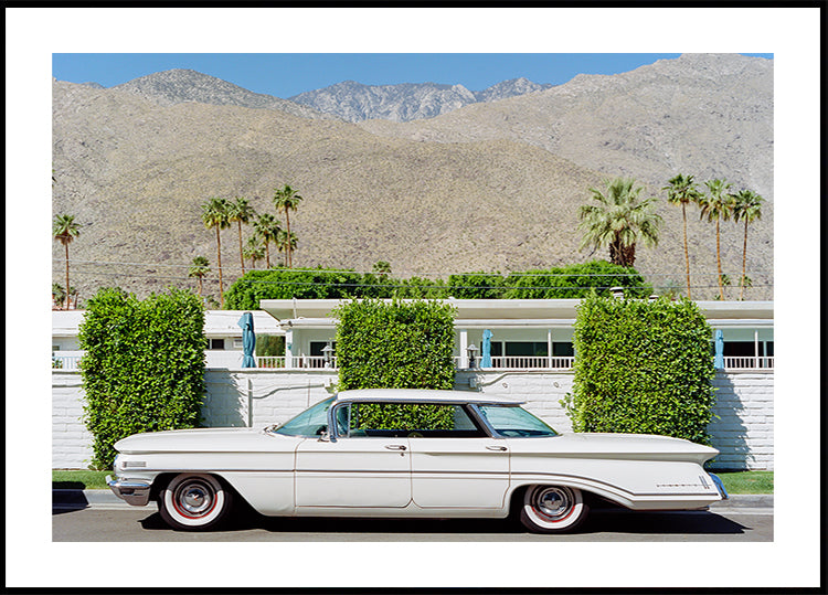 Paseo en Palm Springs