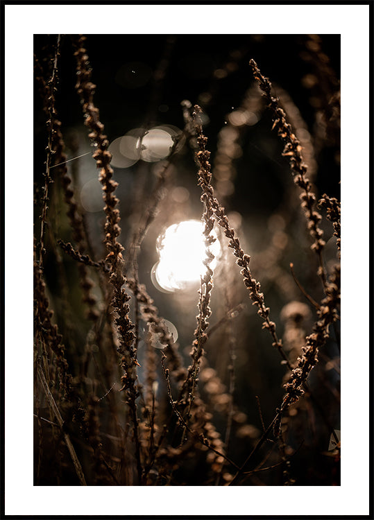 Luces de otoño 2