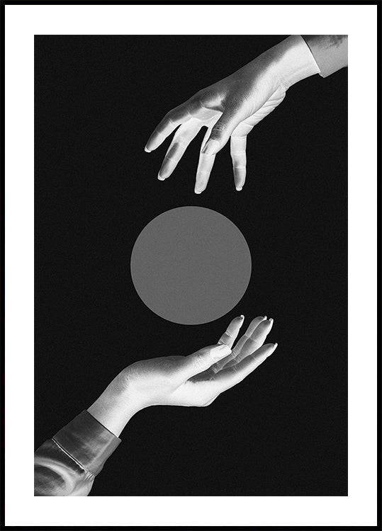 Elegido nº 03
