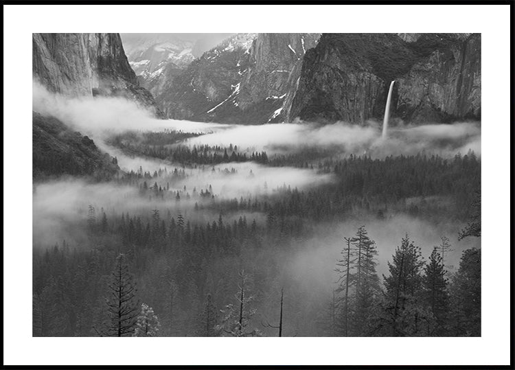 Niebla flotando en el valle de Yosemite