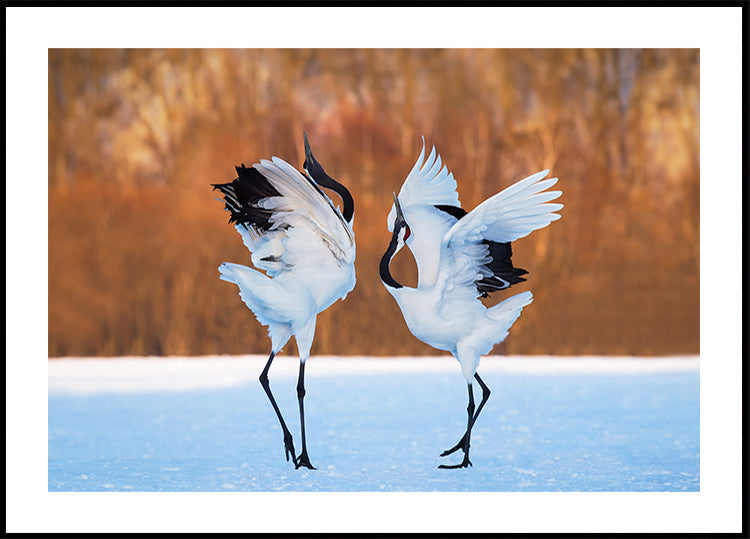 La danza del amor Póster