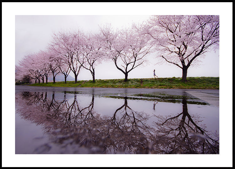 lluvia de primavera
