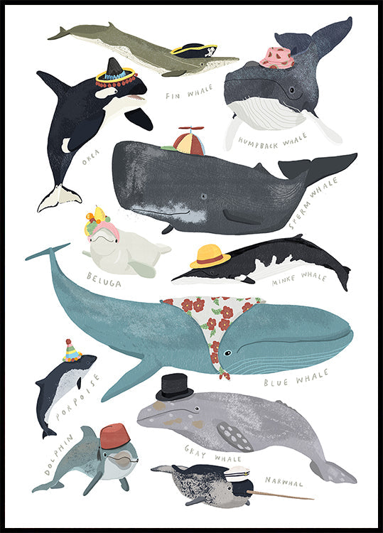 Ballenas con sombreros Póster