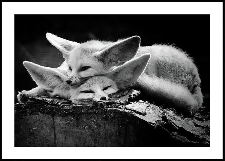 la feliz pareja