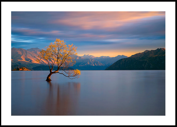 Resplandor de la mañana Póster