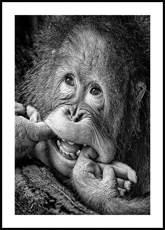 Gran sonrisa... por favor Póster