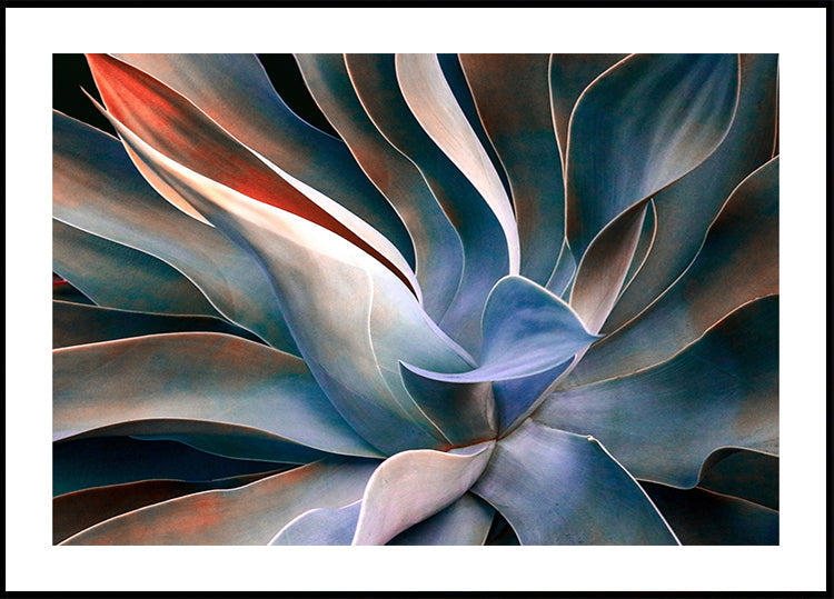 Los colores en las hojas Póster