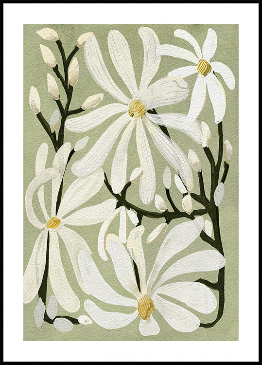 Flores de magnolia estrella sobre fondo de salvia Póster