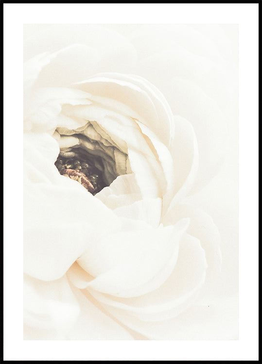 Flor Blanca No.1 Póster
