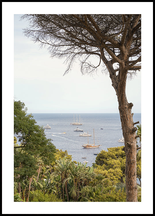 Capri Sea View Plakat - Posterbox
