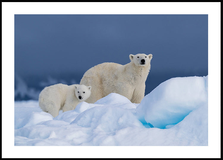Mamá y bebé Póster