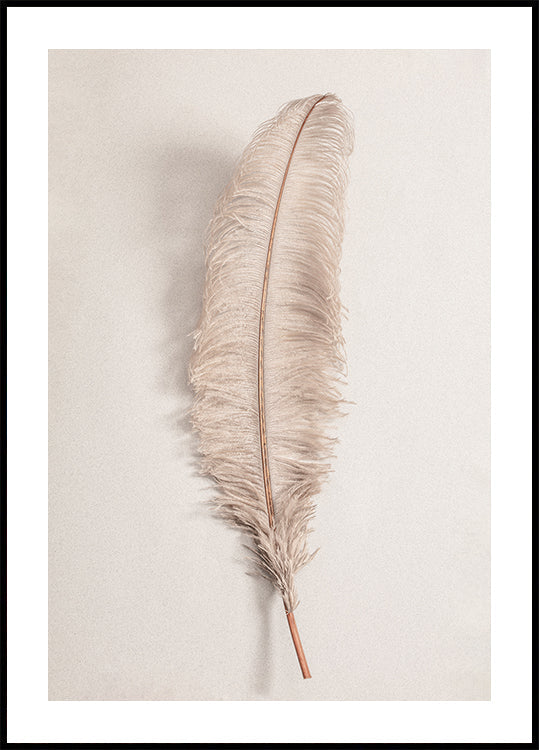 Pluma No.2 Póster