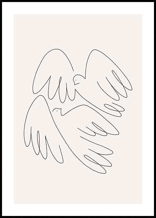 pájaros del amor